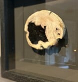 De appelgaard lijst met kristal zwart-wit