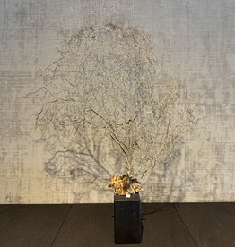 De appelgaard koraal tak goud