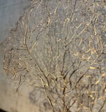 De appelgaard koraal tak goud