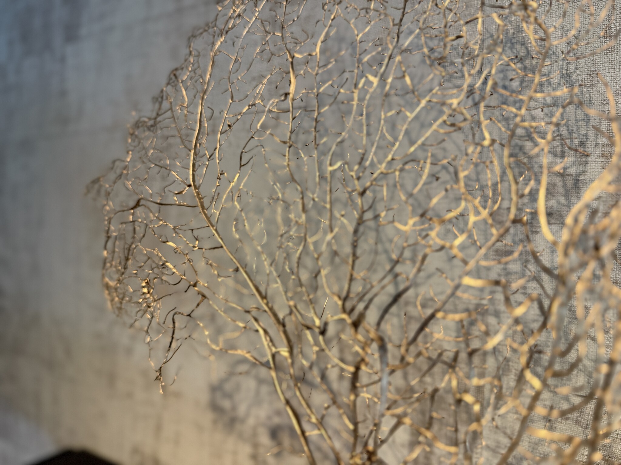 De appelgaard koraal tak goud