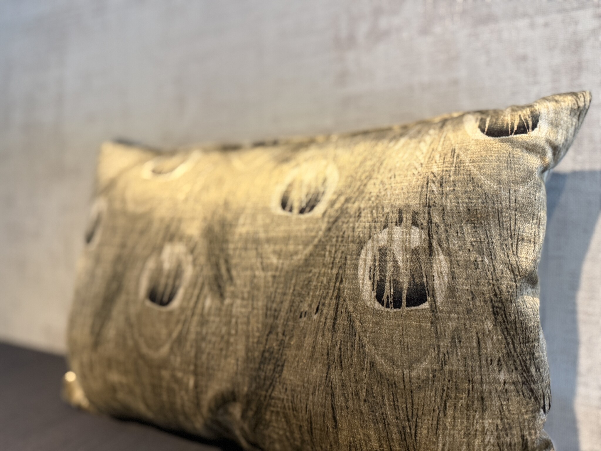 Claudi sierkussen Cosimo