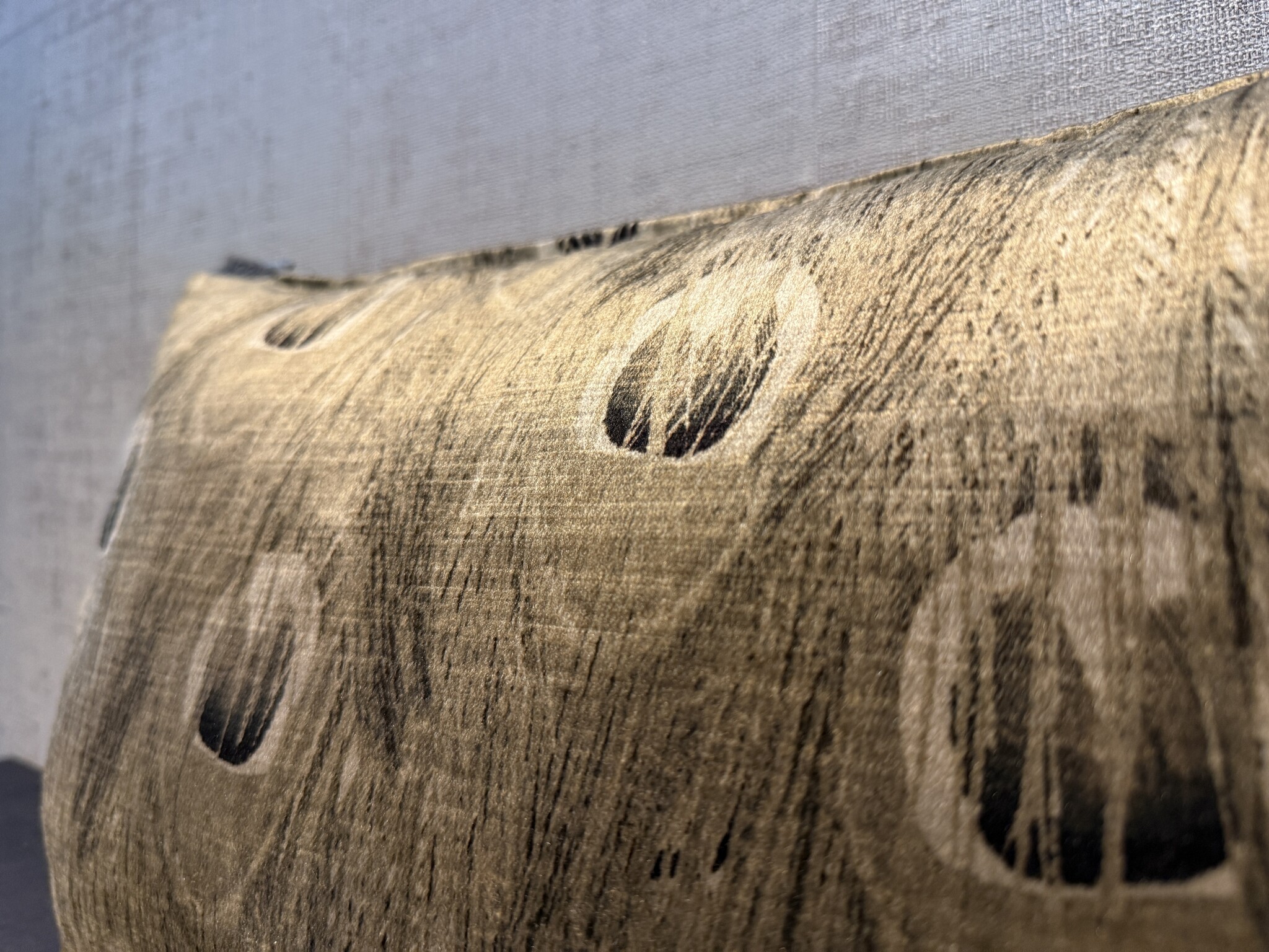 Claudi sierkussen Cosimo