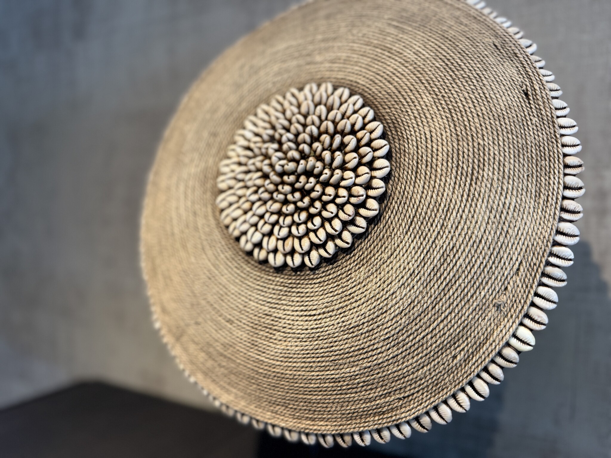 Schelpenschild natural