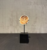 De appelgaard schelp geldsteen op standaard klein