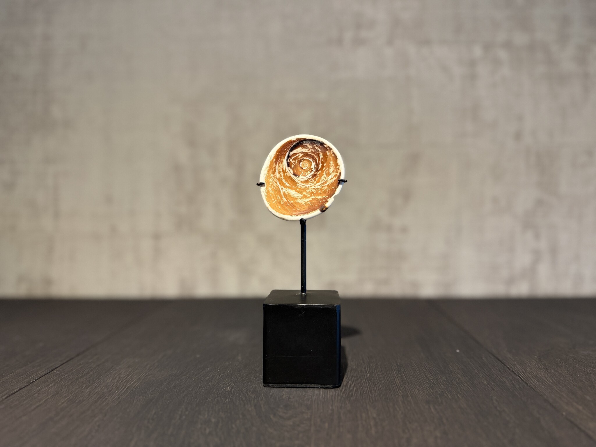 De appelgaard schelp geldsteen op standaard klein