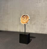 De appelgaard schelp geldsteen op standaard klein