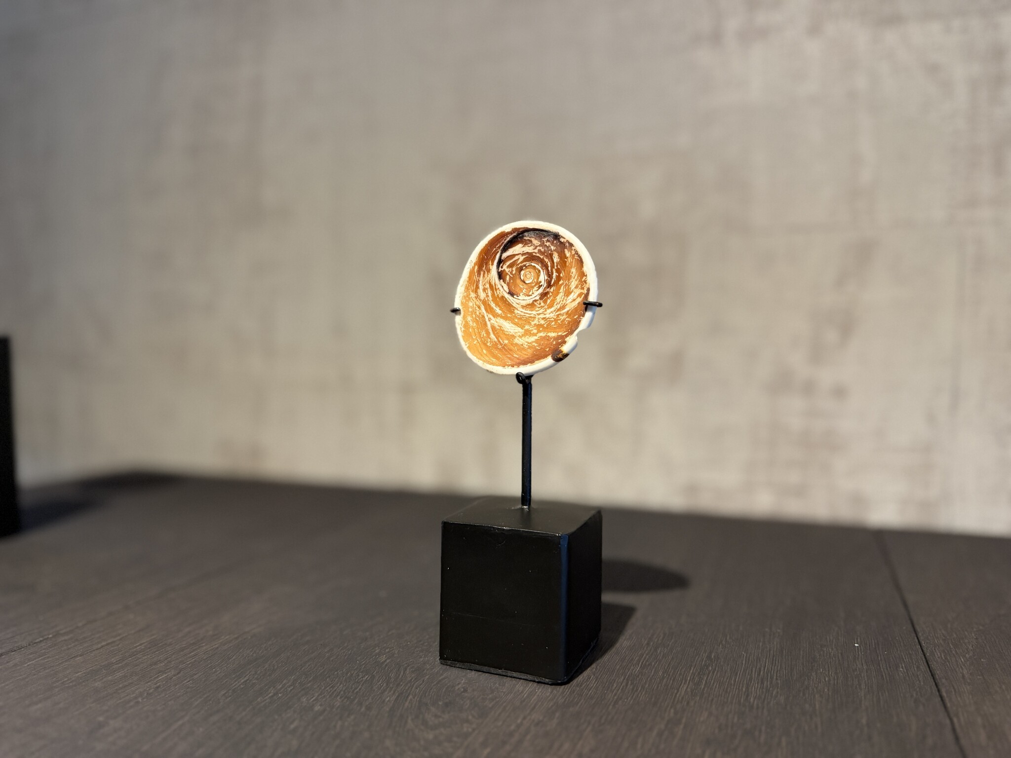 De appelgaard schelp geldsteen op standaard klein