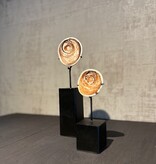 De appelgaard schelp geldsteen op standaard groot