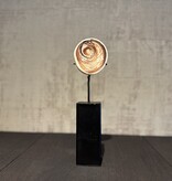 De appelgaard schelp geldsteen op standaard groot