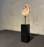 De appelgaard schelp geldsteen op standaard groot