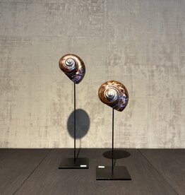 De appelgaard purple shell klein