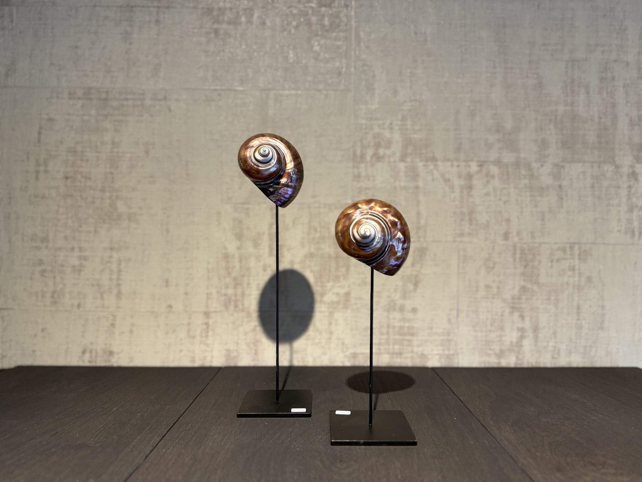 De appelgaard purple shell klein