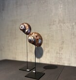 De appelgaard purple shell klein