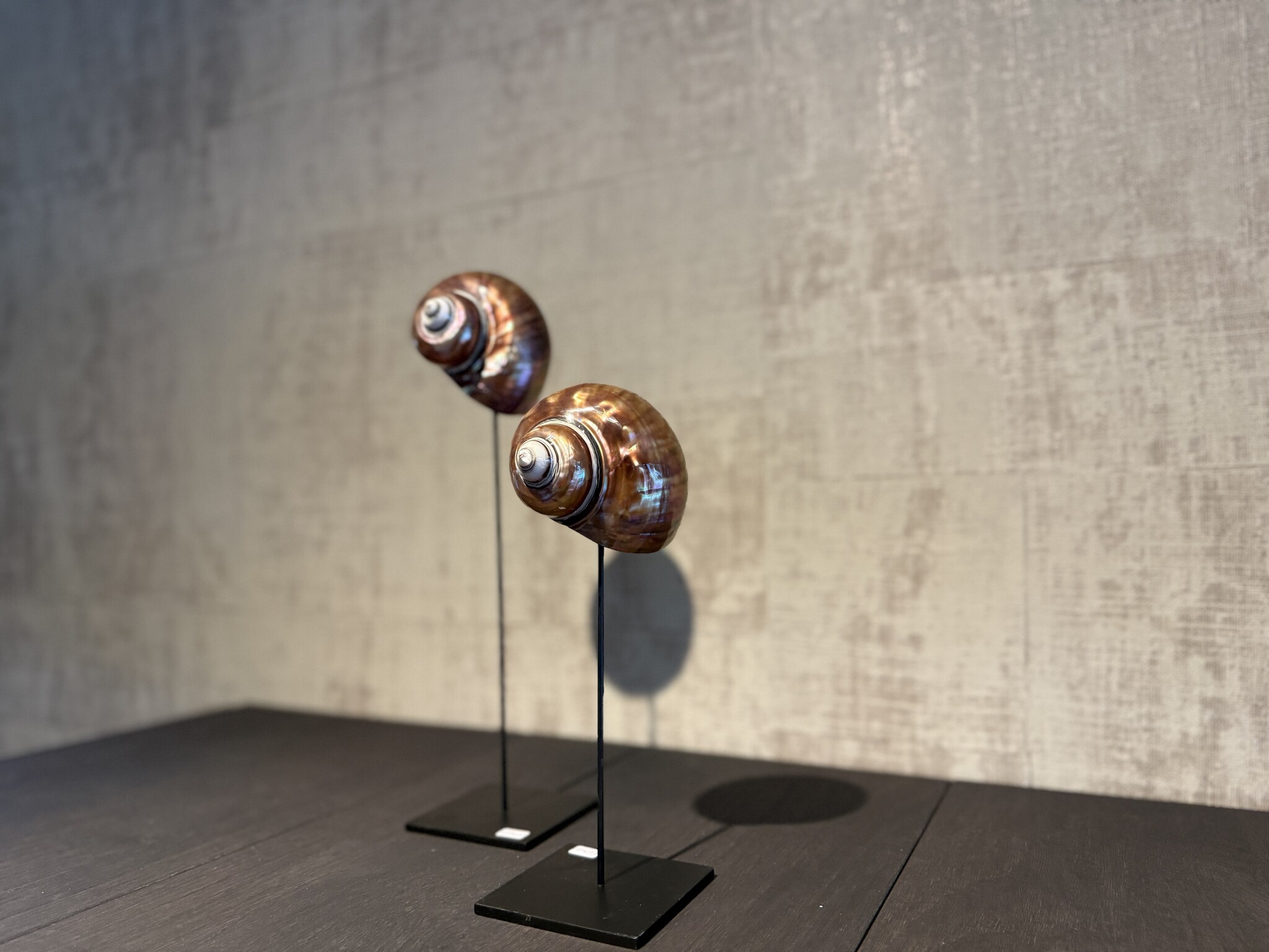 De appelgaard purple shell klein