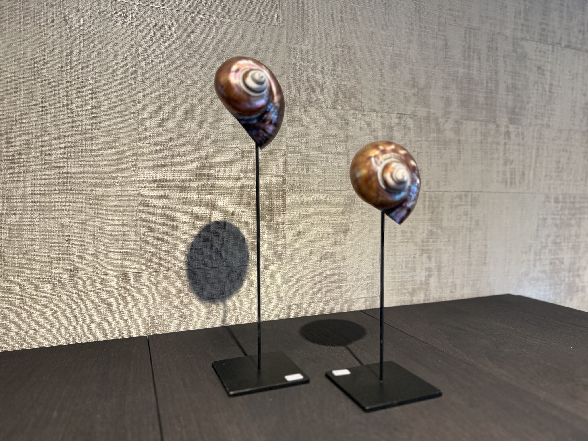 De appelgaard purple shell klein