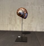 De appelgaard purple shell klein