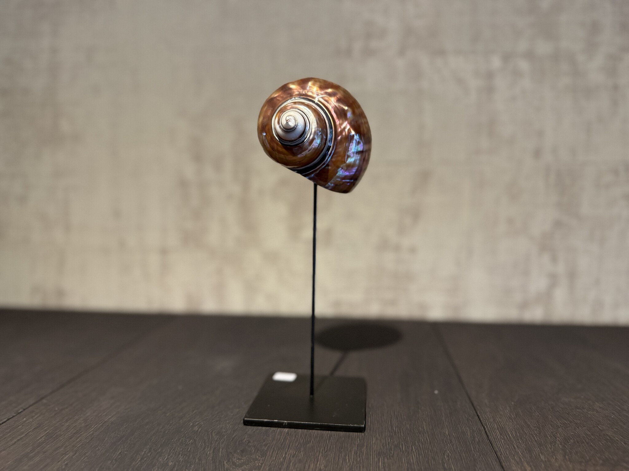 De appelgaard purple shell klein