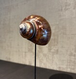 De appelgaard purple shell klein