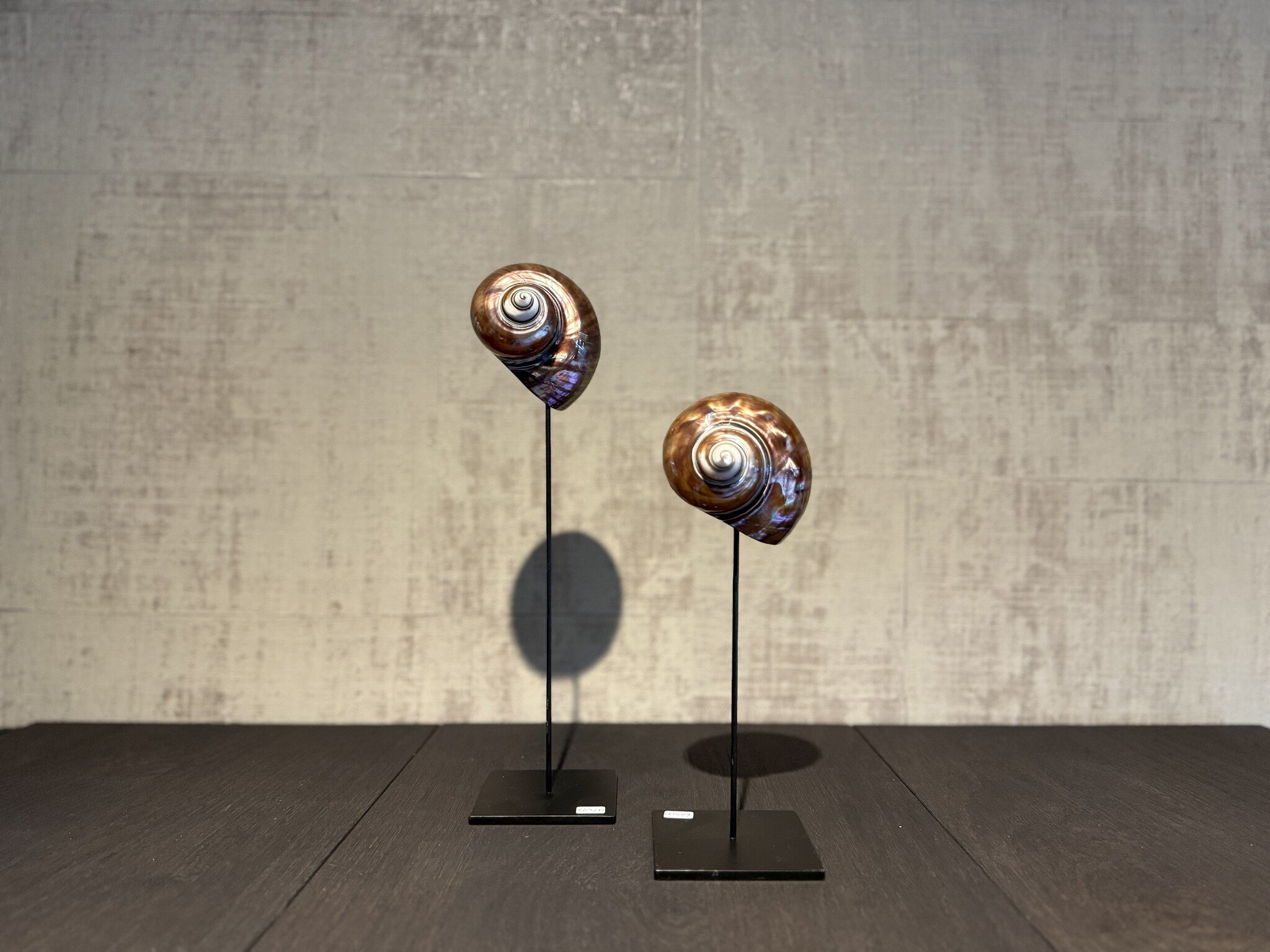 De appelgaard purple shell groot