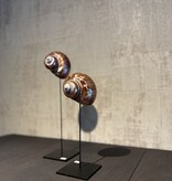 De appelgaard purple shell groot