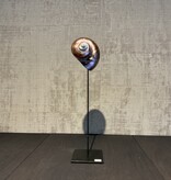 De appelgaard purple shell groot