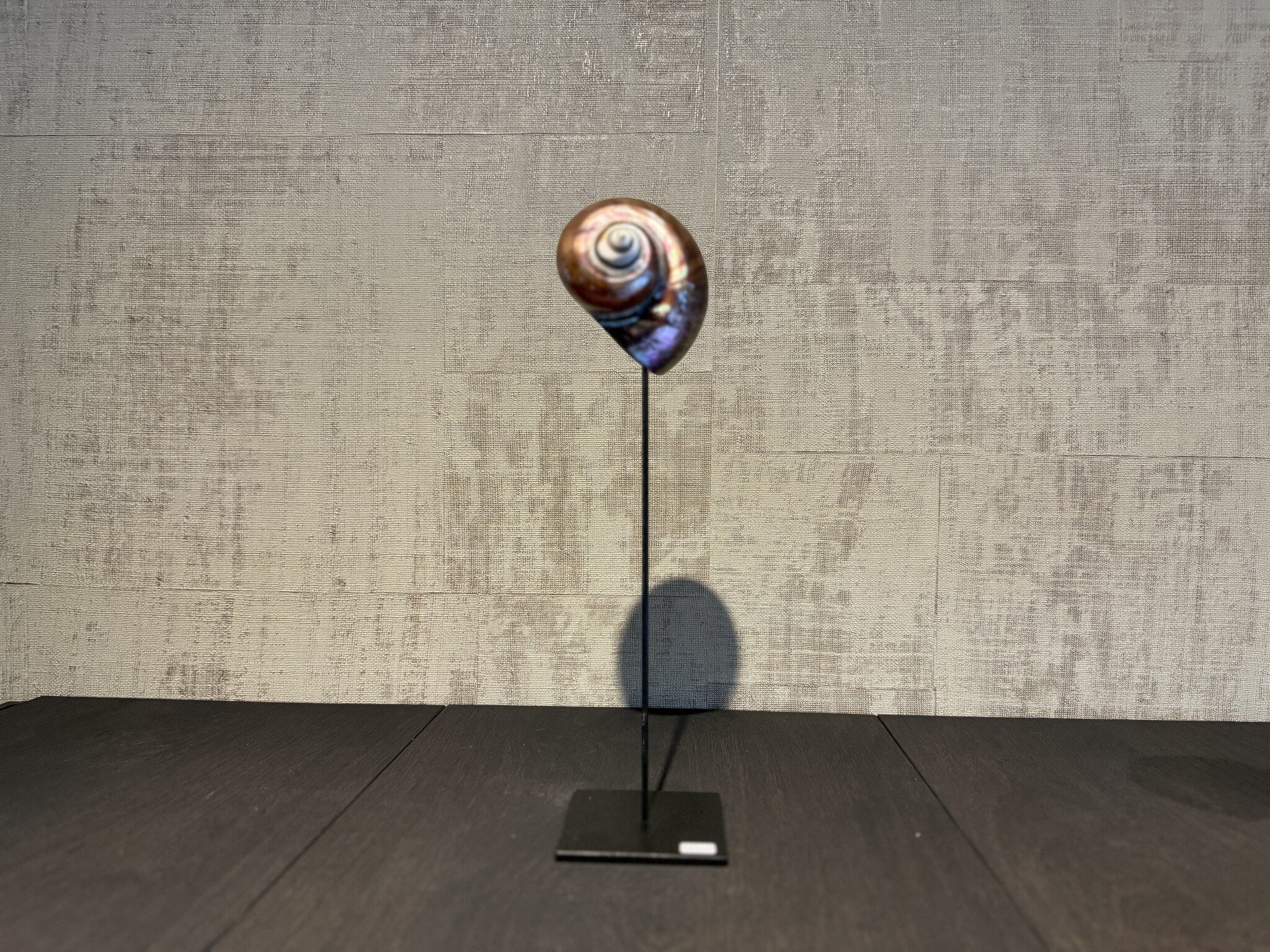 De appelgaard purple shell groot