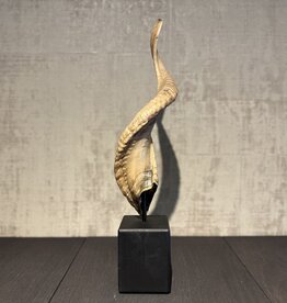 De appelgaard ram hoorn