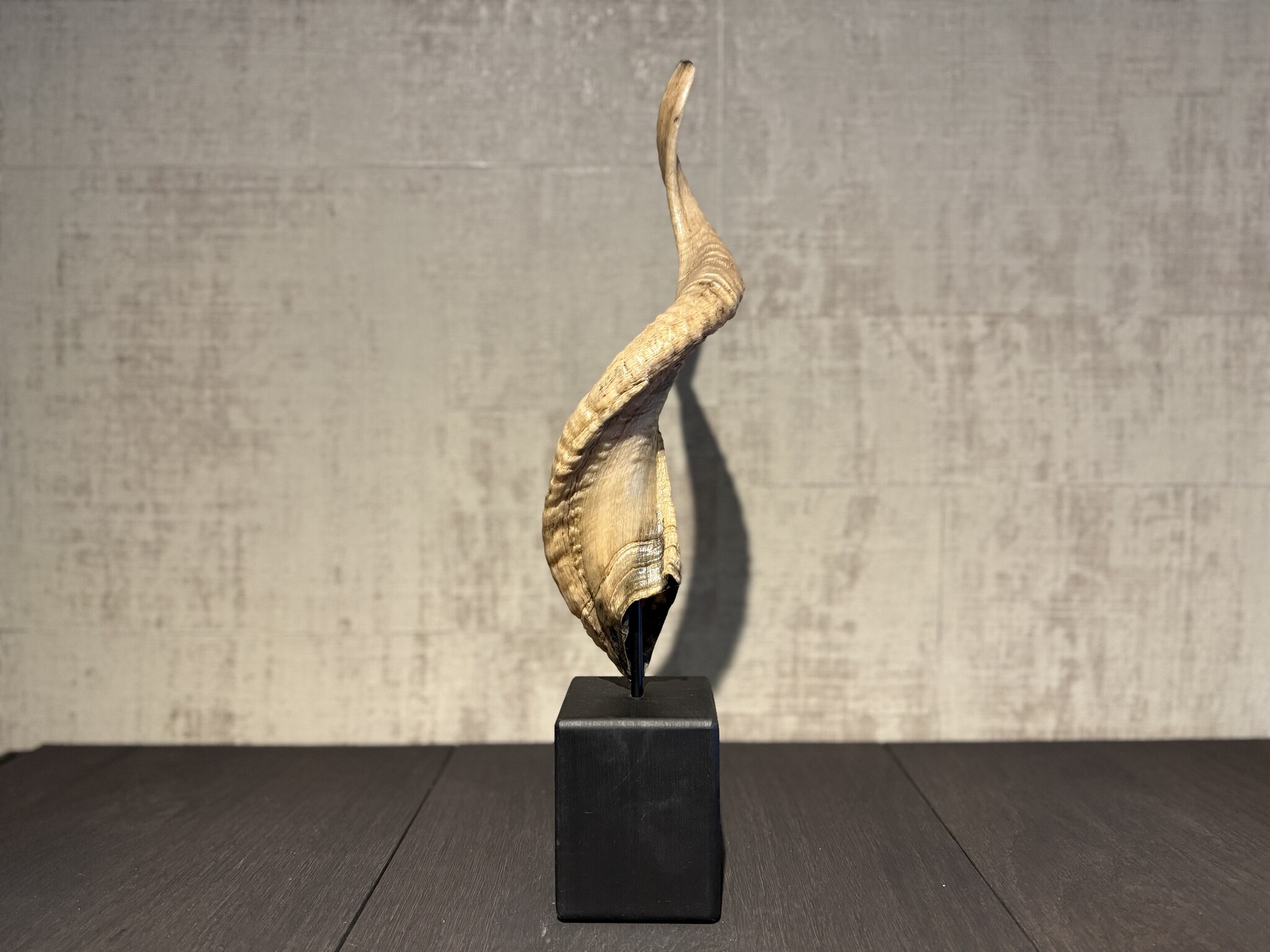 De appelgaard ram hoorn