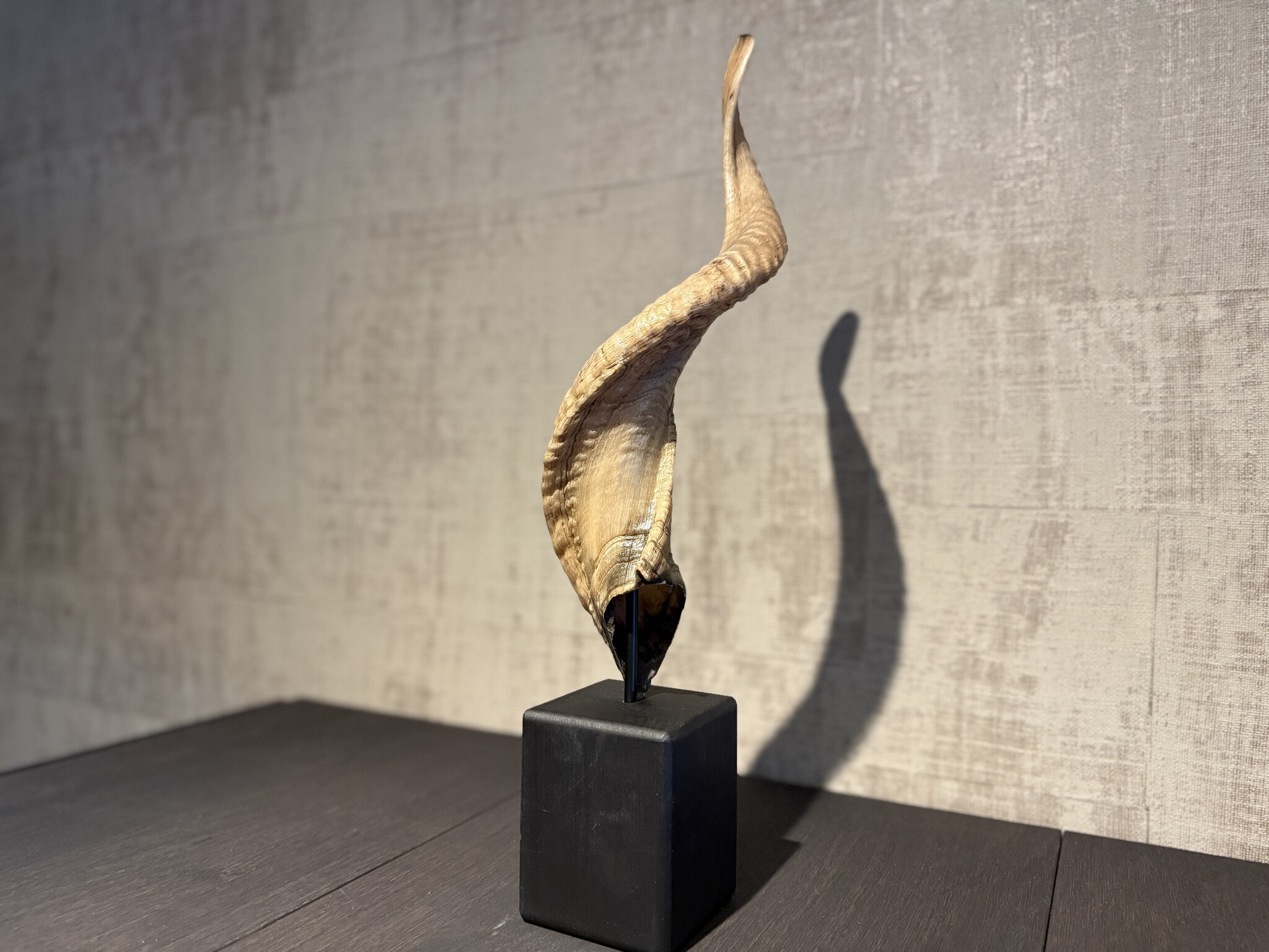 De appelgaard ram hoorn