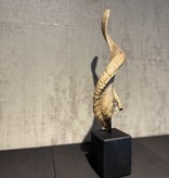 De appelgaard ram hoorn