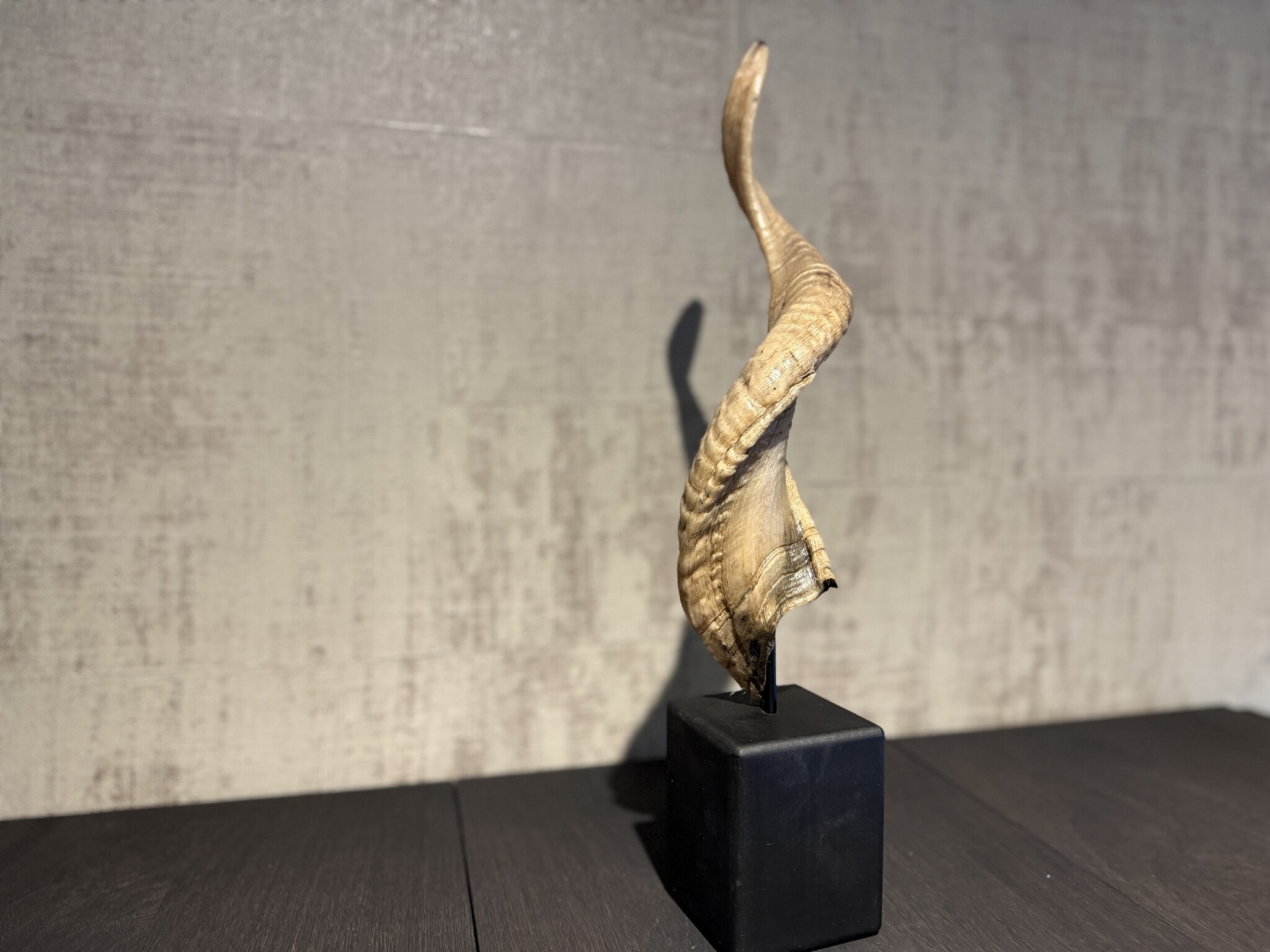 De appelgaard ram hoorn