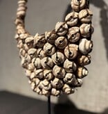 De appelgaard schelpentas