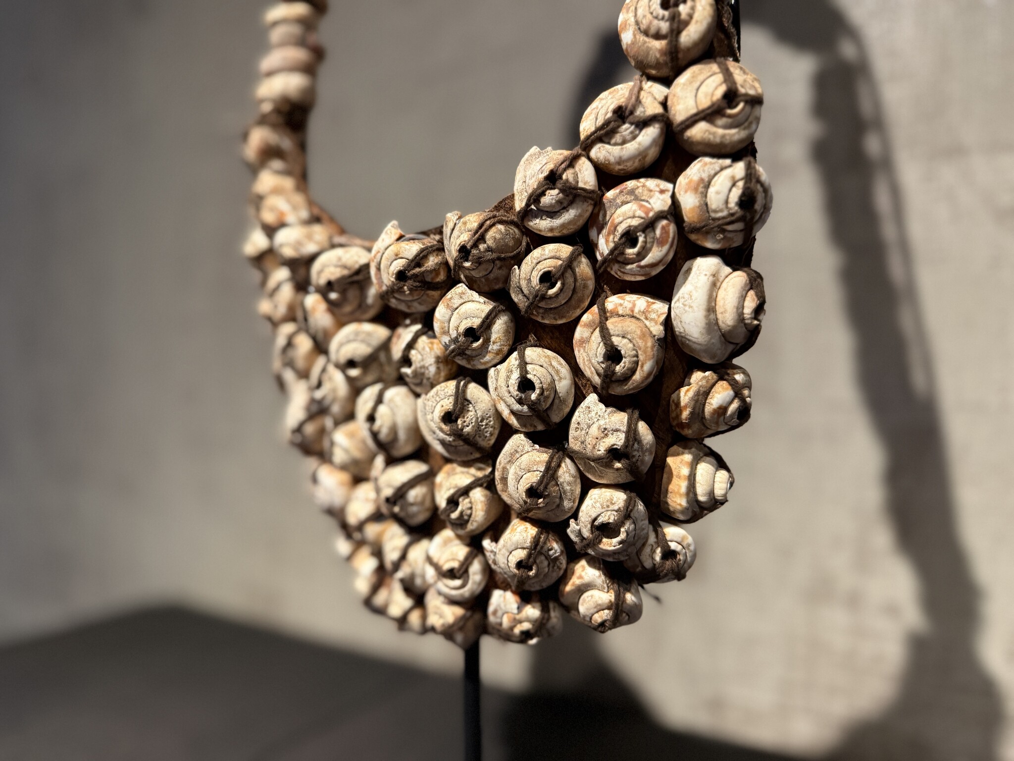 De appelgaard schelpentas