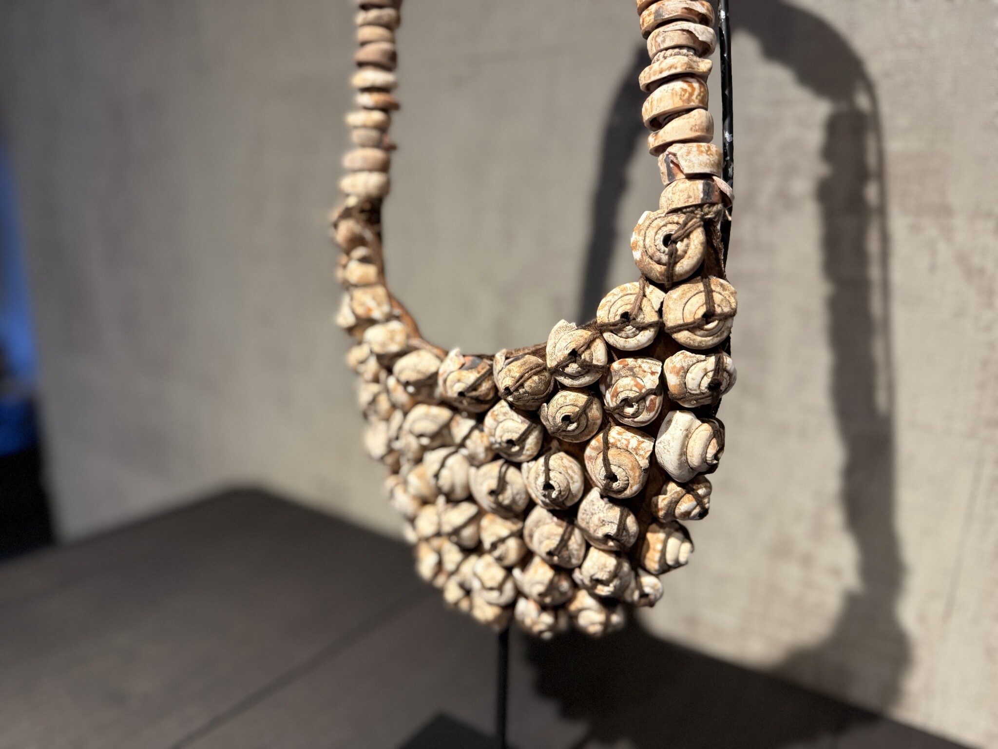 De appelgaard schelpentas