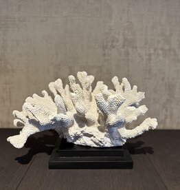 De appelgaard koraal op plateau groot