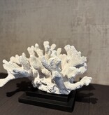 De appelgaard koraal op plateau groot