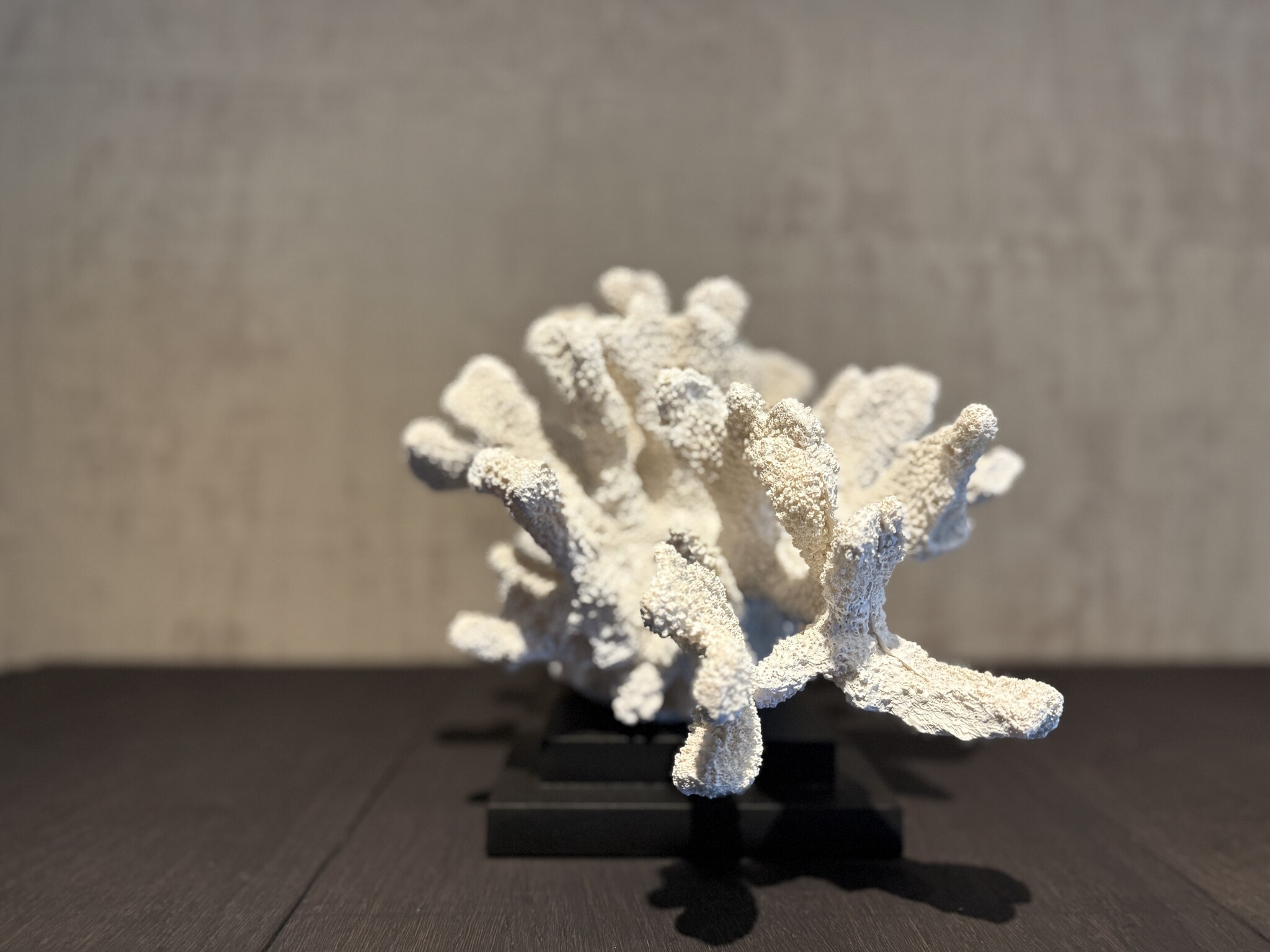 De appelgaard koraal op plateau groot