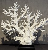 De appelgaard koraal op plateau XL