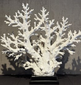 De appelgaard koraal op plateau XL