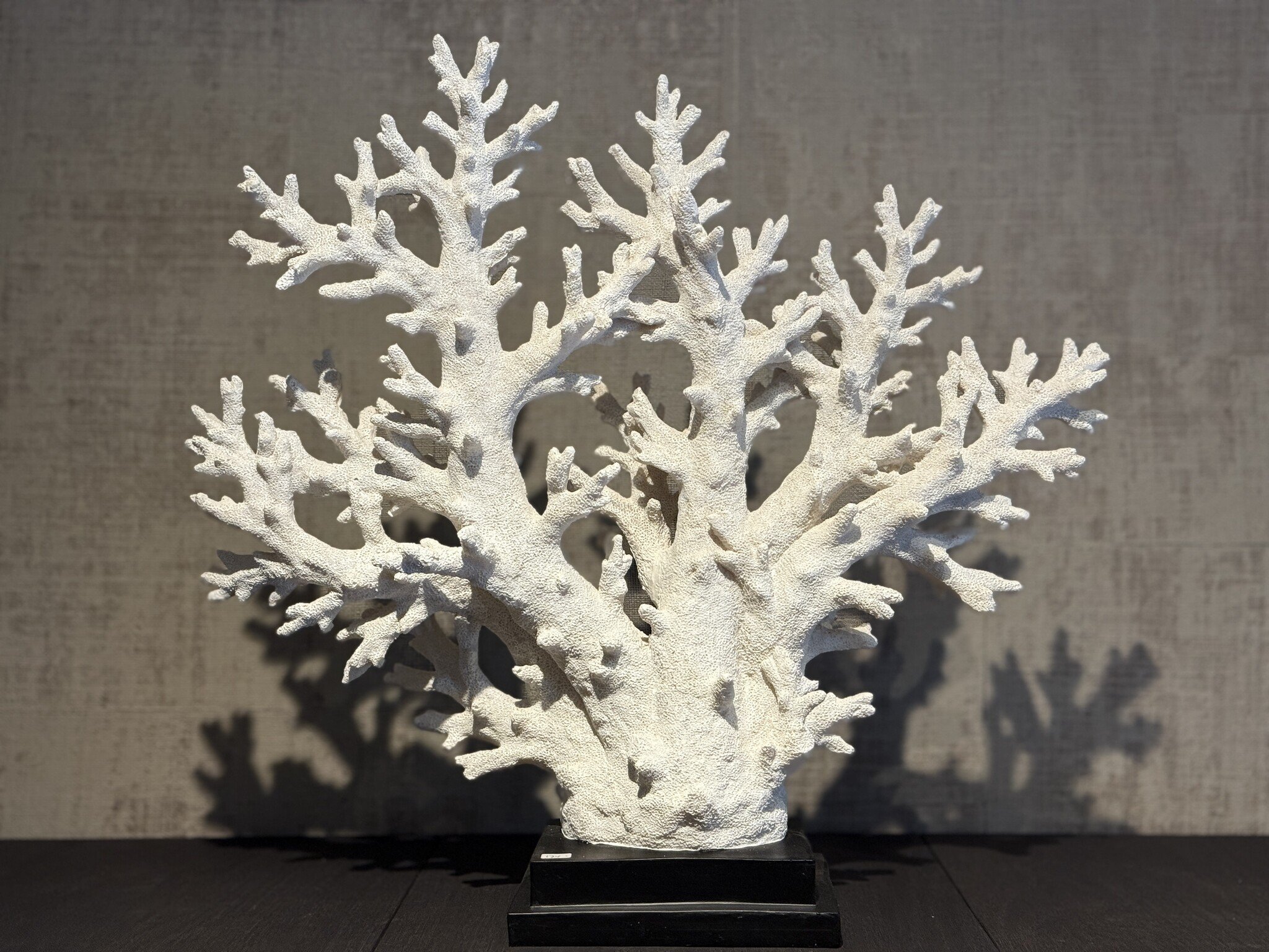 De appelgaard koraal op plateau XL