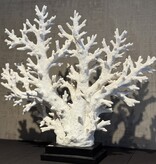 De appelgaard koraal op plateau XL