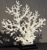 De appelgaard koraal op plateau XL