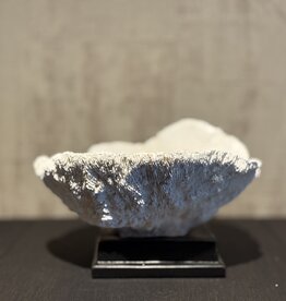 De appelgaard koraal op plateau wit