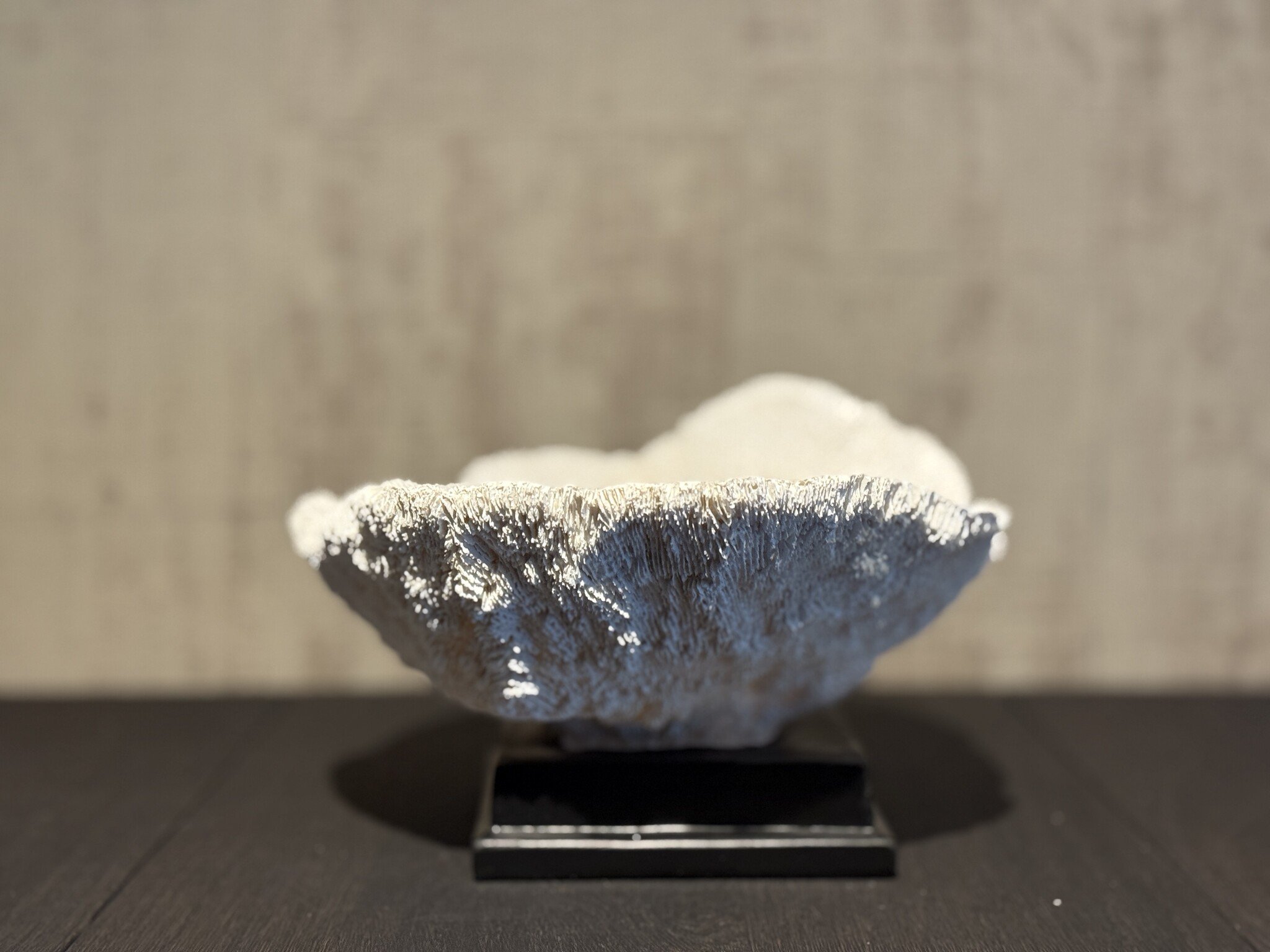 De appelgaard koraal op plateau wit