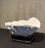 De appelgaard koraal op plateau wit