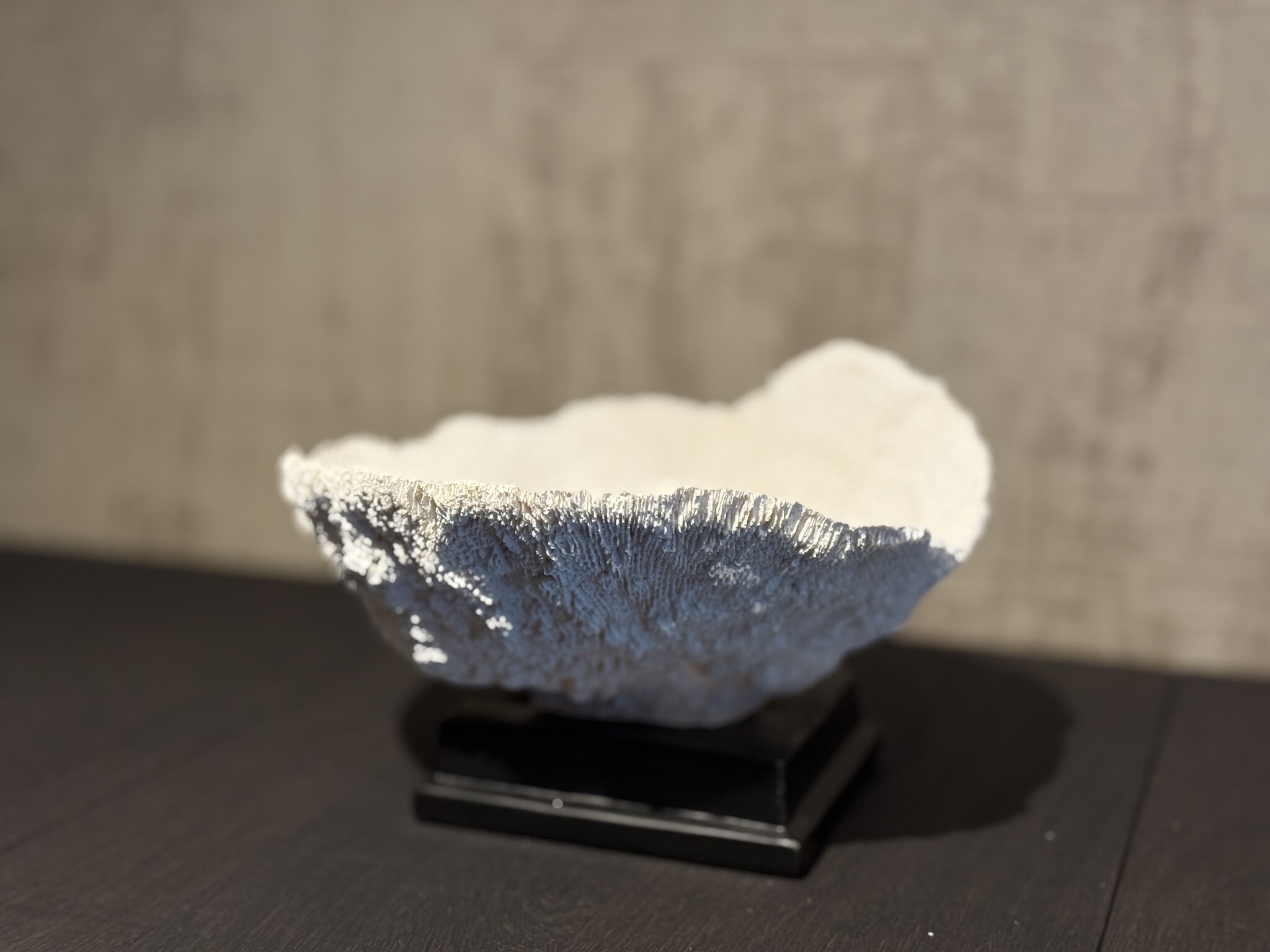 De appelgaard koraal op plateau wit