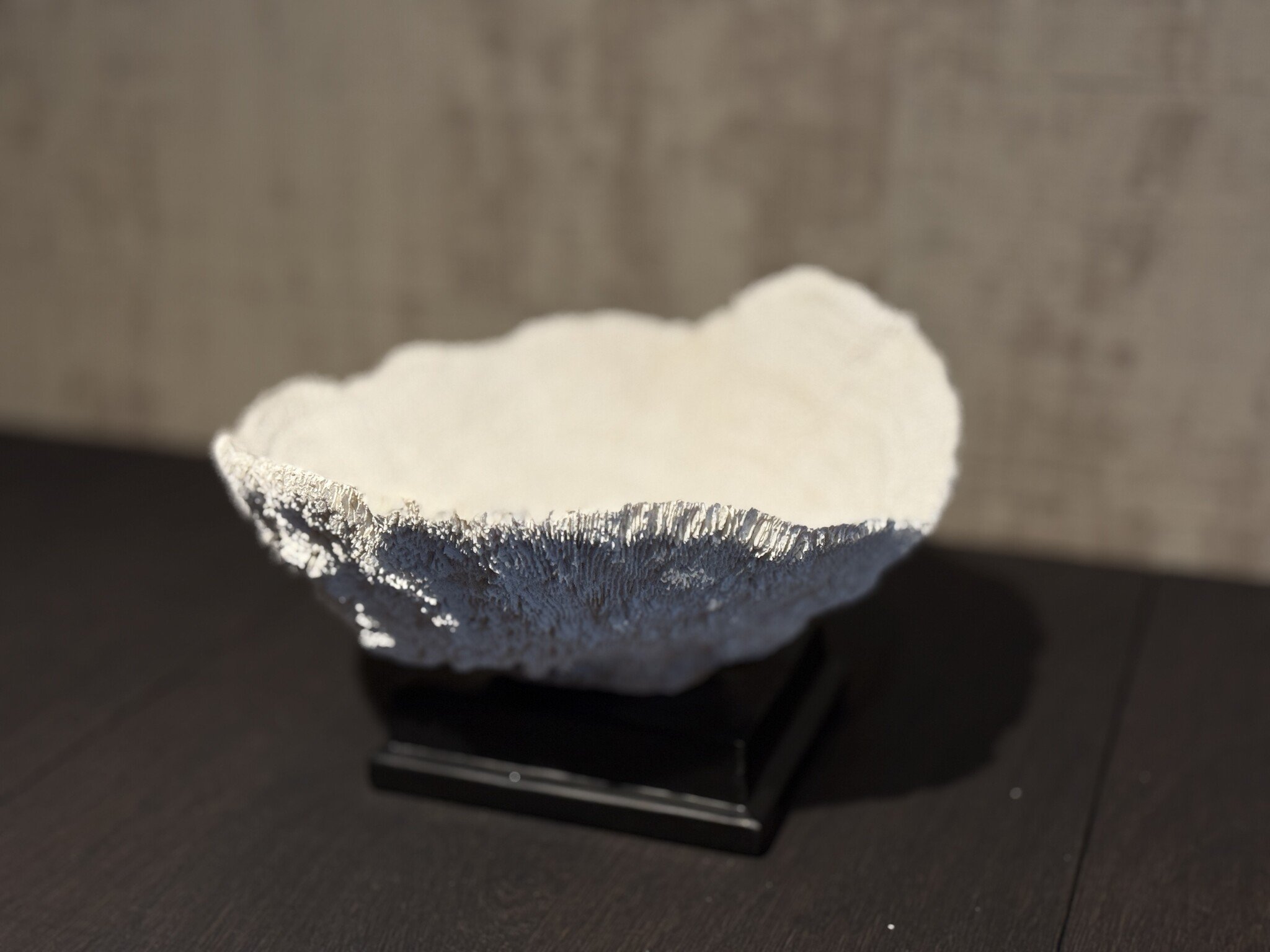 De appelgaard koraal op plateau wit