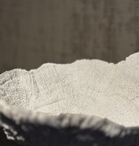 De appelgaard koraal op plateau wit