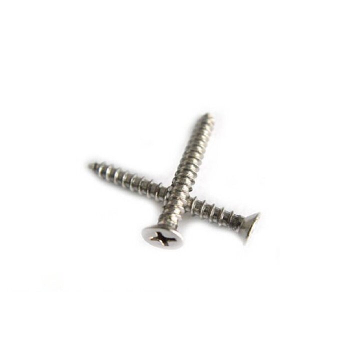 Nesling Nesling Nesling RVS schroeven 20 stuks