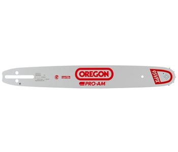 Oregon Pro-AM Führungsschiene | 1.3mm |.325 | 38cm | 150MLBK041